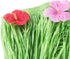 Luau Grass Table Skirt Natural Hawaiian Table Skirt Tropical Party Decorations 9 Feet x 29.5 Inch (Green)...