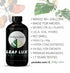 Premium Concentrated Liquid Fertilizer - Makes 40gal - LEAF LUX by Pretty in Green - ALL Plants ALL Media LECA, Soil - Indoor Plants...
