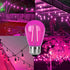 S14 Pink LED Bulb S14 Replacement LED Light Bulbs 2W Plastic Shatterproof LED Night Bulb E26 Base Pink String Lights Waterproof Vintage Bulb for C...