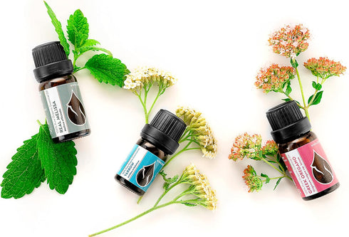 Essences Bulgaria Organic Greek Oregano Essential Oil 1/3 Fl Oz | 10ml | Origanum vulgare ssp. hirtum | 100% Pure and Natural | Undiluted | Therap...