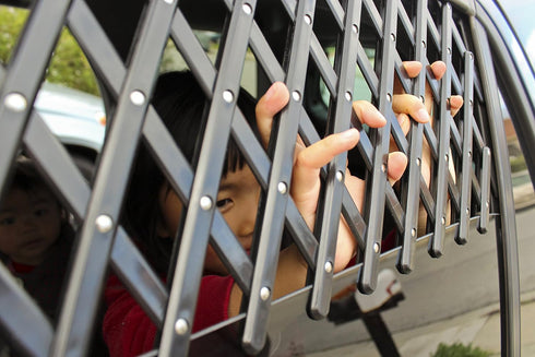 Zoie + Chloe Extra Large Car & Truck Window Pet Gate...