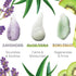 A TYPICAL Jelly Mask for Facials Professional, Hydrojelly Mask for Facials, 5 Pack Kiwi, Rose, Aloe, Lavender & Gold Powder Peel Off, Esthetician ...