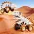 iPlay, iLearn ???????? ?????? Dinosaur Monster Truck Toys for Toddlers 1-3, Skeleton Pull Back Dino Car for Kids 2-4 Year, Boy Cool T-Rex Fossil V...