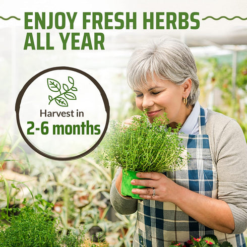 17 Herb Culinary Seed Vault - 5200+ Herbs Seeds for Planting Indoor or Outdoor Garden - Heirloom, Non GMO | Hydroponic Herb Garden Seeds with High...