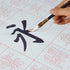 Chinese Calligraphy Set Rewritable Water Writing Cloth Fabric with Brush Rack and Water Dish Quick Drying Fabric Cloth Paper for Beginners Practic...