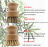 Bamboo Dish Brush, Kitchen Dish Brush Set for Cleaning Dishes, Sinks, Cast Iron Pots/Pan and Vegetables, Palm Bristle and Bamboo Grip - 1 Piece + ...