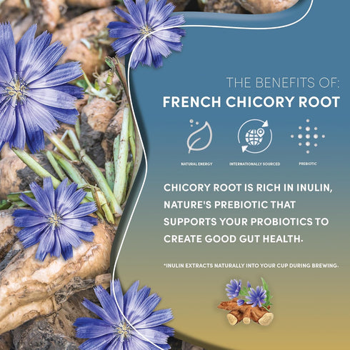 Teeccino Dark Chocolate Prebiotic SuperBoost™ Herbal Tea - Support Your Probiotics with Vegan GOS & Organic XOS For Good Gut Health and Regularity...