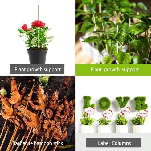 Bamboo Wood Plant Sticks for Garden Stakes Grilling Skewer Plant Sticks for Tomato,Orchid,Potato,Potted House Plants and Hand Crafts -12 Inch 60Pc...