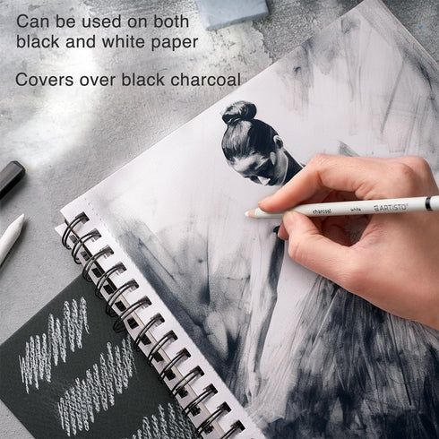 Artisto Drawing and Sketching Pencil Art Set (20 Items) - Complete Kit with Graphite Pencils, Charcoal Pencils, Sticks, Blending Stumps, Erasers, ...