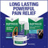 Biofreeze Day & Night Pain Relief Patches, Knee & Lower Back Pain Relief Patch, Sore Muscle Relief, Neck Pain Relief, Pharmacist Recommended, FSA ...