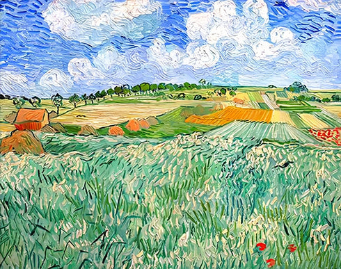 NIHO-JIUMA Van Gogh Diamond Painting Kits The Plains of Orvison, 5D DIY Full Drill Diamond Art Gift for Adults, Home Deco (30X40 cm/12x16 inches)...