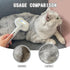 Spray Cat Brush for Shedding - Water Brush for Cats and Dogs - Pet Hair Removal Comb with Water Tank and Release Button - Steamy Cat Brush - Pet S...
