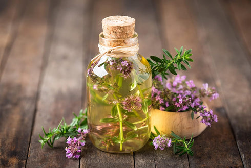 Perennial Herb Seeds Collection,1500 Seeds, 4 Heirloom Non GMO Varieties, Greek Oregano, Sage, Thyme, Chives...