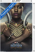 Trends International Marvel Cinematic Universe - Black Panther - Nakia One Sheet Wall Poster, 22.375" x 34", Premium Poster & Clip Bundle...