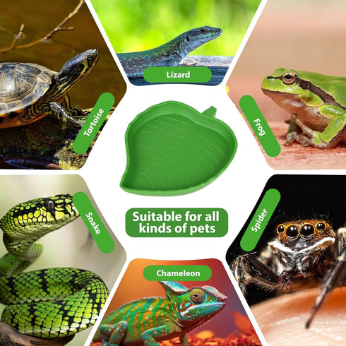 2 Pcs Turtle Water Bowl Reptile Bowls Reptile Food Dish Leaf Shape Turtle Bowl Reptile Food Water Bowl Reptile Plate Dish Drinking Bowl Flat Drink...