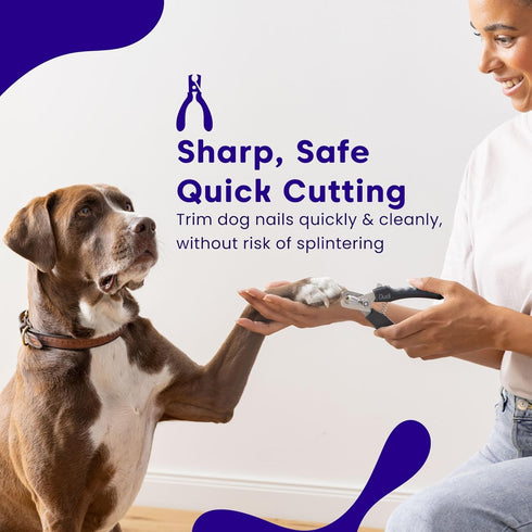 Pet Dog Nail Clippers for Large Dogs Thick Nails - Heavy Duty Dog Nail Trimmers with Razor Sharp Blade and Easy to Use Dog Nail File with Safety G...