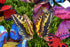 Giant Butterfly Garden Stakes Decorations Outdoor 3D Butterflies Lawn Decorative Yard Decor Patio Accessories Ornaments PVC Gardening Art Christma...