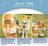 Pet Grooming Brush Double-Sided Undercoat Rake for Dogs & Cats - Shedding and Dematting Comb for Dogs &Gentle Deshedding Brush Glove Grooming kit ...