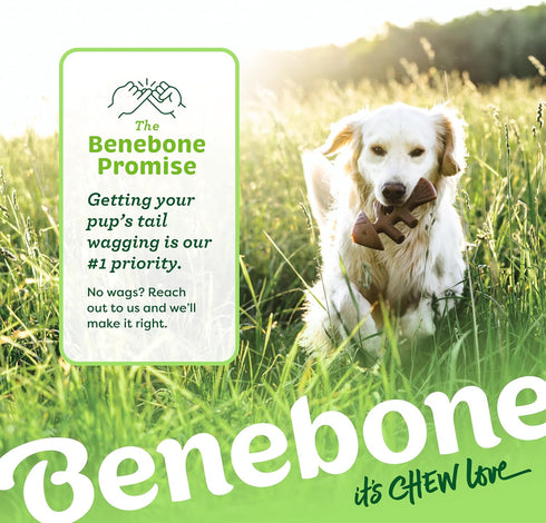 Benebone Fishbone Durable Dog Chew Toy for Aggressive Chewers, Real Fish, Made in USA, Giant...