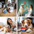 Peppy Pet Ball for Dogs, Smart Interactive Dog Toys Dog Ball with Led Flash Lights Active Rolling Ball for Large Dogs USB Rechargeable Wicked Dog ...