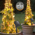 kolpop Solar Fairy Lights for Outside Waterproof, 3 Pack 96FT 240LED Solar Powered String Light Outdoor, 8 Modes Copper Wire Solar Twinkle Lightin...
