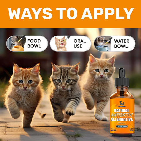 Antibiotics for Cats ? Cat Antibiotic ? Natural Antibiotics for Cats ? Cat Antibiotics ? Antibiotic for Cats ? Cat Multivitamin ? Pet Antibiotic ?...