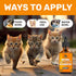 Antibiotics for Cats ? Cat Antibiotic ? Natural Antibiotics for Cats ? Cat Antibiotics ? Antibiotic for Cats ? Cat Multivitamin ? Pet Antibiotic ?...