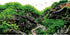 AWERT 72x18 inches Stone Aquarium Background Aquatic Plant River Bed & Lake Fish Tank Background Seaweed Aquarium Background Vinyl Background...