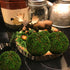 BYHER Natural Green Moss Decorative Ball,Handmade (3.5"-Set of 6)...
