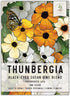 Seed Needs, Black-Eyed Susan Vine Seeds - 100 Heirloom Seeds for Planting Thunbergia alata - Annual Vining Flowers to Cover a Fence or Trellis (1 ...