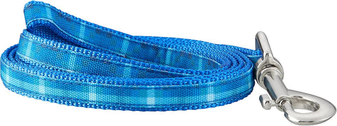 Graphic Leash for Dogs, Blue Ombre, Large/X-Large...