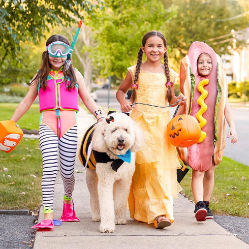 Frienda 64 Pieces Halloween Dog Hair Bows Halloween Dog Topknot Bows with Rubber Bands Pumpkin Ghost Bat Pet Hair Bows Puppy Grooming Bows Hallowe...