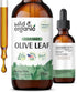 Olive Leaf Extract Liquid - Antioxidants Supplement w/Organic Olive Leaf - Olive Leaf Liquid Extract for Immune Support - Vegan Olive Leaf Supplem...