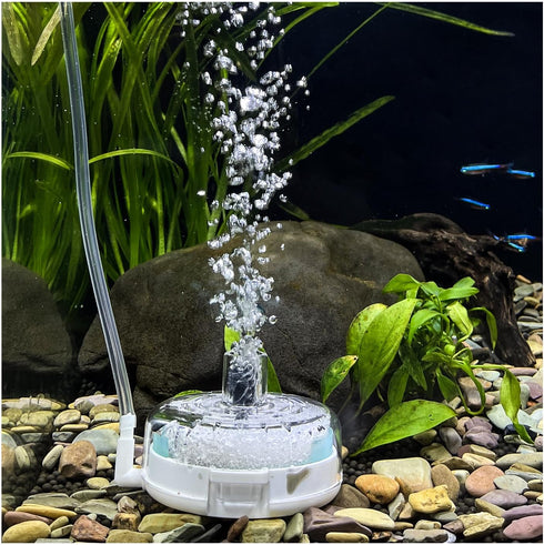 UPETTOOLS Mini Aquarium Sponge Filter, Small Internal Fish Tank Filter Detachable Submersible Filter with Air Stone Suitable for 5-8 Gallon Tank...