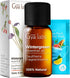 Gya Labs Wintergreen Essential Oil for Diffuser - 0.34 Fl Oz - 100% Pure Natural Wintergreen Oil for Skin, Hair, Candle Making, Massage & Refreshi...
