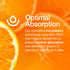 Fresh Nutrition Liposomal Vitamin C - 2000mg DNA Verified & Potent VIT C (from ascorbic acid)– Swallow or Pour Powder into a Drink, All Natural Ve...