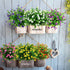 Artificial Flowers for Outdoors Artificial Plants & Flowers Fake UV Resistant Faux Plastic Greenery Shrubs for Outside Haning Planter Home Wedding...