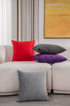 DEZENE Throw Pillow Covers 12x20 Dark-Grey: 2 Pack Cozy Soft Velvet Rectangular Decorative Pillow Cases for Farmhouse Home Decor...
