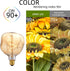 S125 Oversized LED Edison Bulb Large, 5 Watt 400 Lumens 2200k Warm Yellow Large Edison Light Bulb, Amber Glass Decorative Large Globe Dimmable E26...