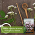 Sow Right Seeds - Valerian Seeds for Planting - Non-GMO Heirloom Packet with Instructions to Plant an Outdoor Herb Garden - Fragrant with Medicina...
