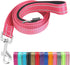 Reflective Nylon Dog Leash for Walking,Strong Dog Leash with Padded Handle for Medium and Large Dogs,6 FT,Hot pink...