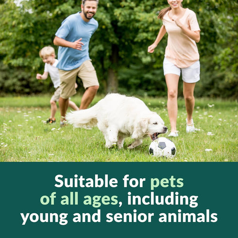 Wuffes Wild Alaskan Salmon Oil for Dogs - Natural EPA & DHA Fatty Acids and Omega 3 for Canines, Healthy Skin and Coat, Joint Support, Reduced All...