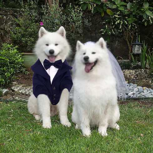 SAWMONG Dog Tuxedo,Formal PET Wedding Party Suit for Small Medium Dogs,Dog Prince Bow Tie Shirt,Cosplay Prince Costume Gentleman Apparel,Pet Costu...