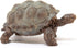 Schleich Wild Life Realistic Exotic Galapagos Giant Tortoise Figurine - WIld Animal FIgurine Giant Tortoise Toy for Wildlife Play and Imagination ...