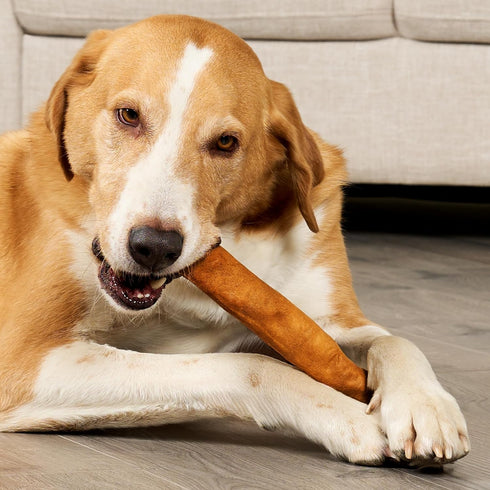 USA Collagen Rolls 9-10" Dog Chew Treats - Chicken Marinade Flavor, 4 Count/1 Pack...