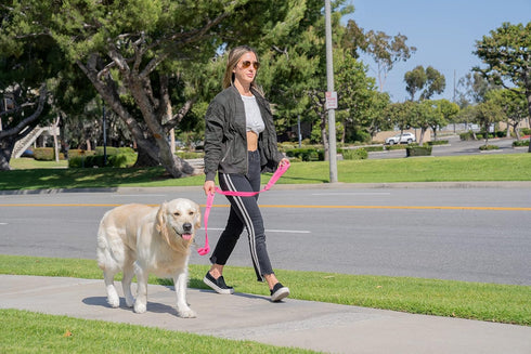Shed Defender 5 ft. Standard Dog Leash - Three Padded Traffic Handles, Designed in The USA, Dual Layered Thickness Heavy Duty, Reflective Stitchin...