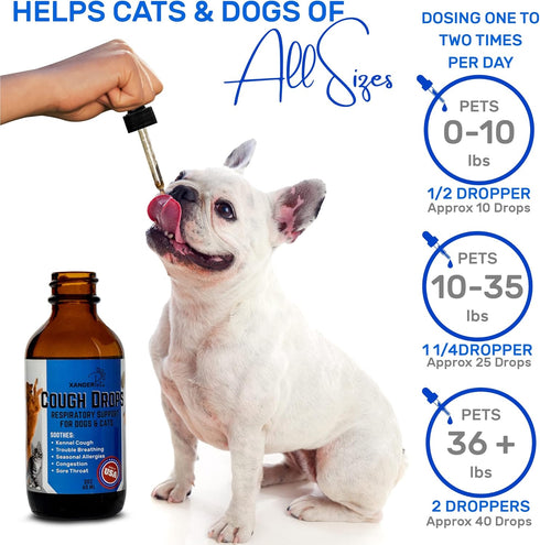 Dog Cough Treatment - Kennel Cough Treatment - Dog Allergy Relief - Itch Relief - Wet & Dry Cough Suppressant - for Dogs & Cats - XanderPets USA 1...