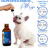 Dog Cough Treatment - Kennel Cough Treatment - Dog Allergy Relief - Itch Relief - Wet & Dry Cough Suppressant - for Dogs & Cats - XanderPets USA 1...