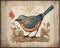 Posterizer 1 pcs- Blue and Orange bird on a tree with a rustic background-Art for Animal Lovers-Floral Botanical Art- Gift for Men Women -Living R...