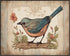 Posterizer 1 pcs- Blue and Orange bird on a tree with a rustic background-Art for Animal Lovers-Floral Botanical Art- Gift for Men Women -Living R...